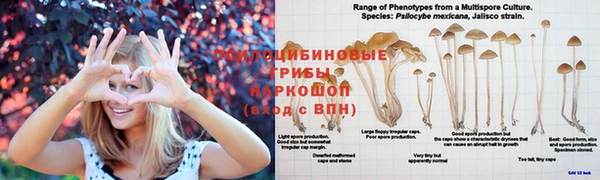 молекула духа Балабаново