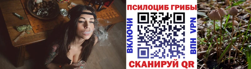 Галлюциногенные грибы Magic Shrooms  хочу наркоту  Лермонтов 